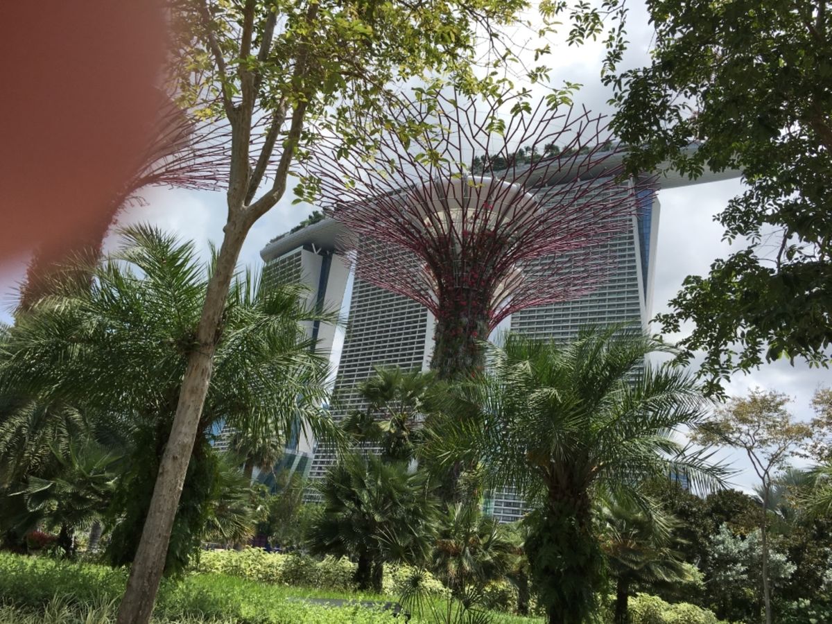 下から見上げるマリーナベイサンズ。こうして見るとかなり特異な形をした建造物...