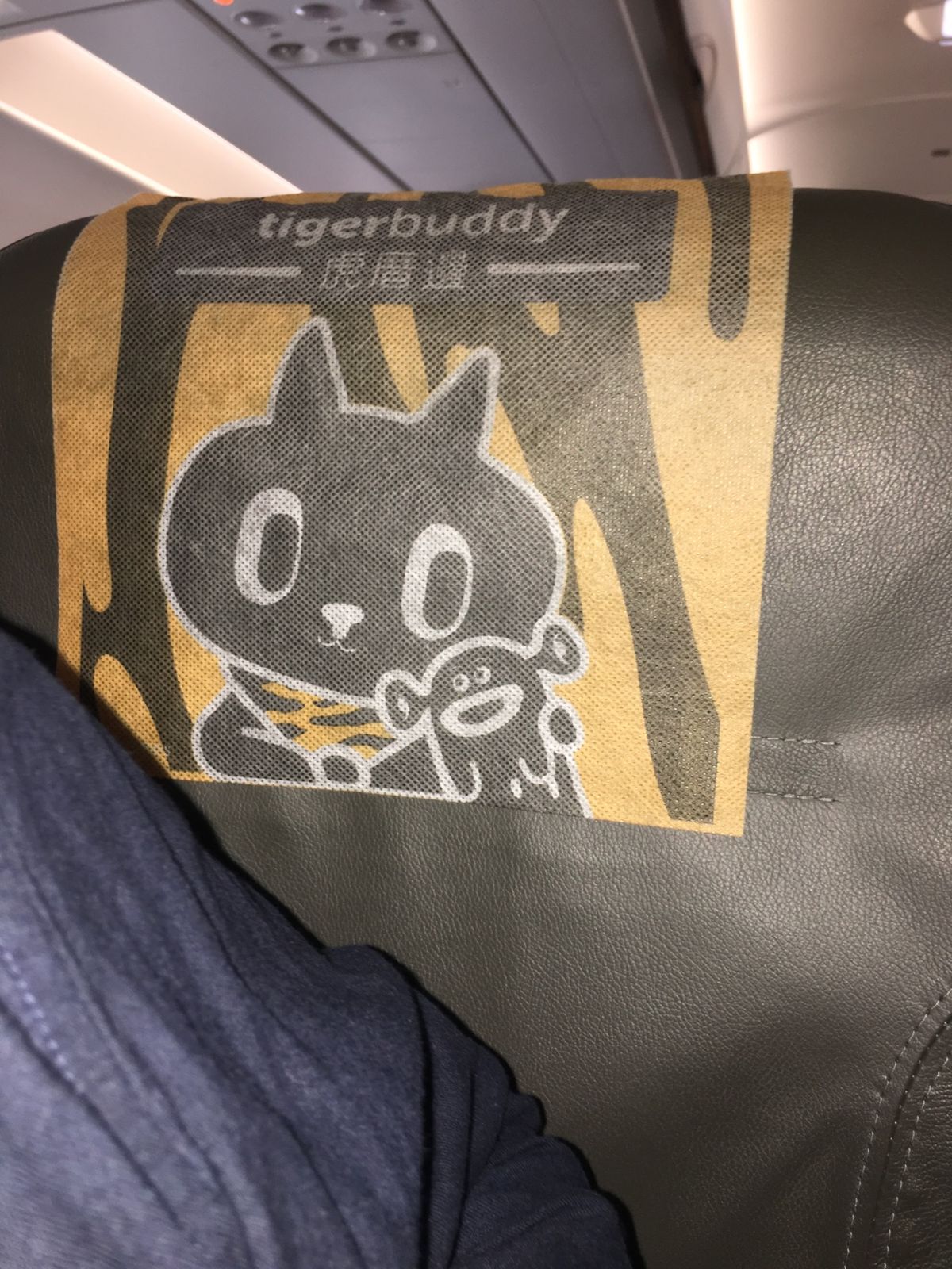 Tigerair Taiwanで渡航。キャラクターの猫がかわいい。