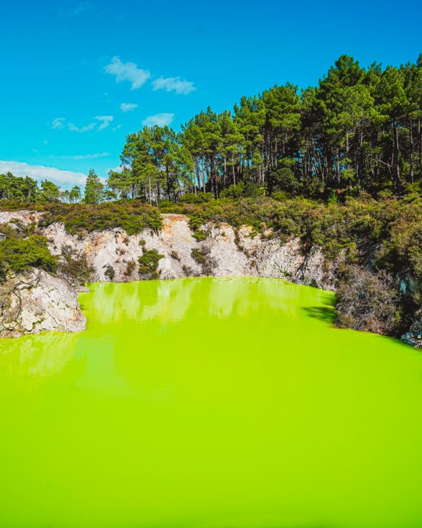 ニュージーランド・ワイトモ「ニュージーランド レンタカーで行き当たりばったりの旅」の写真：今日はワイオタプだ。でも財布がない！
...