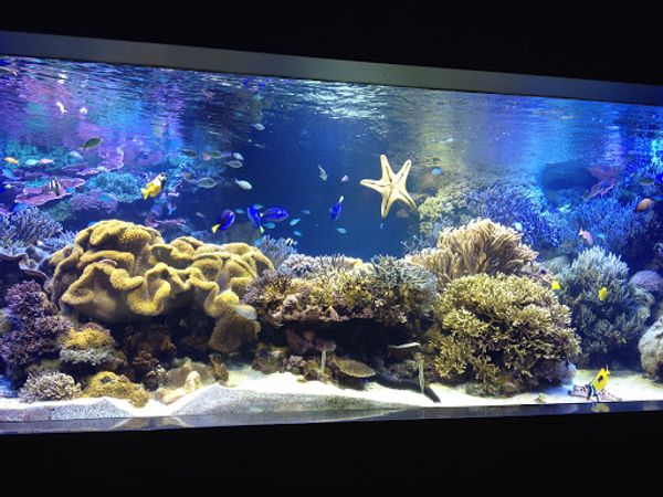日本・三重県「伊勢神宮〜鳥羽・名古屋旅行」の写真：ミキモト真珠島にも行ったけど写真がなかっ...