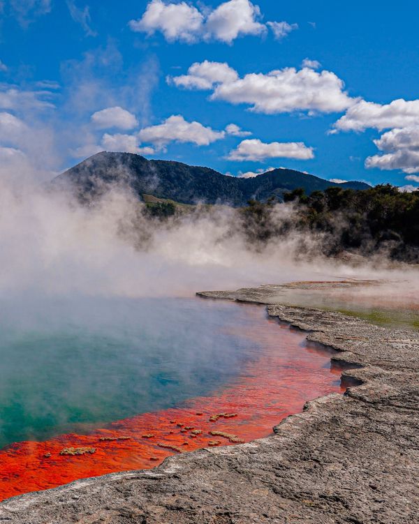 ニュージーランド・ワイトモ「ニュージーランド レンタカーで行き当たりばったりの旅」の写真：神秘的な泉。シャンパンプール。

ワイオ...