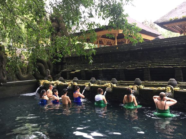 インドネシア・バリ「バリ島ウブドの旅」の写真：ティルタ・ウンプル寺院