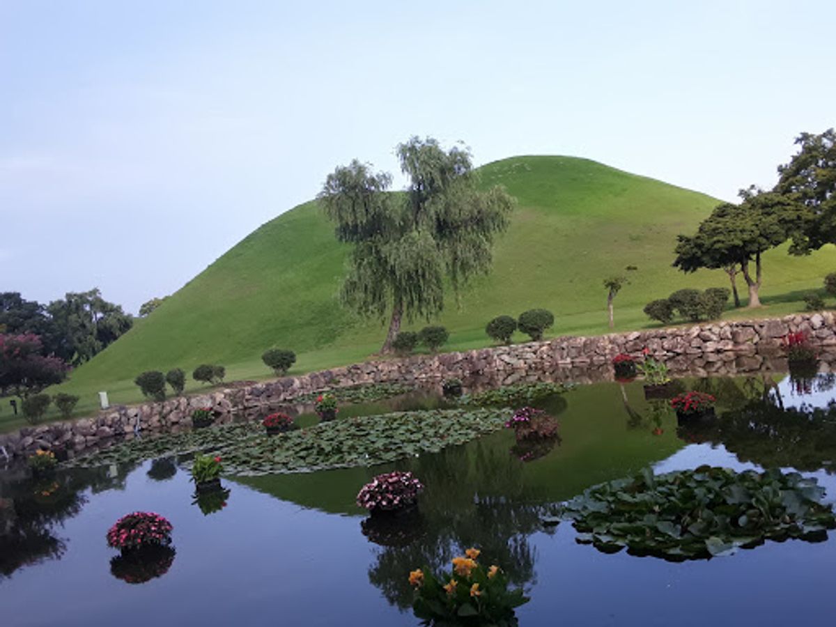 韓国南部のテグ。友人に連れられて名物だというgob changを食べに行く...