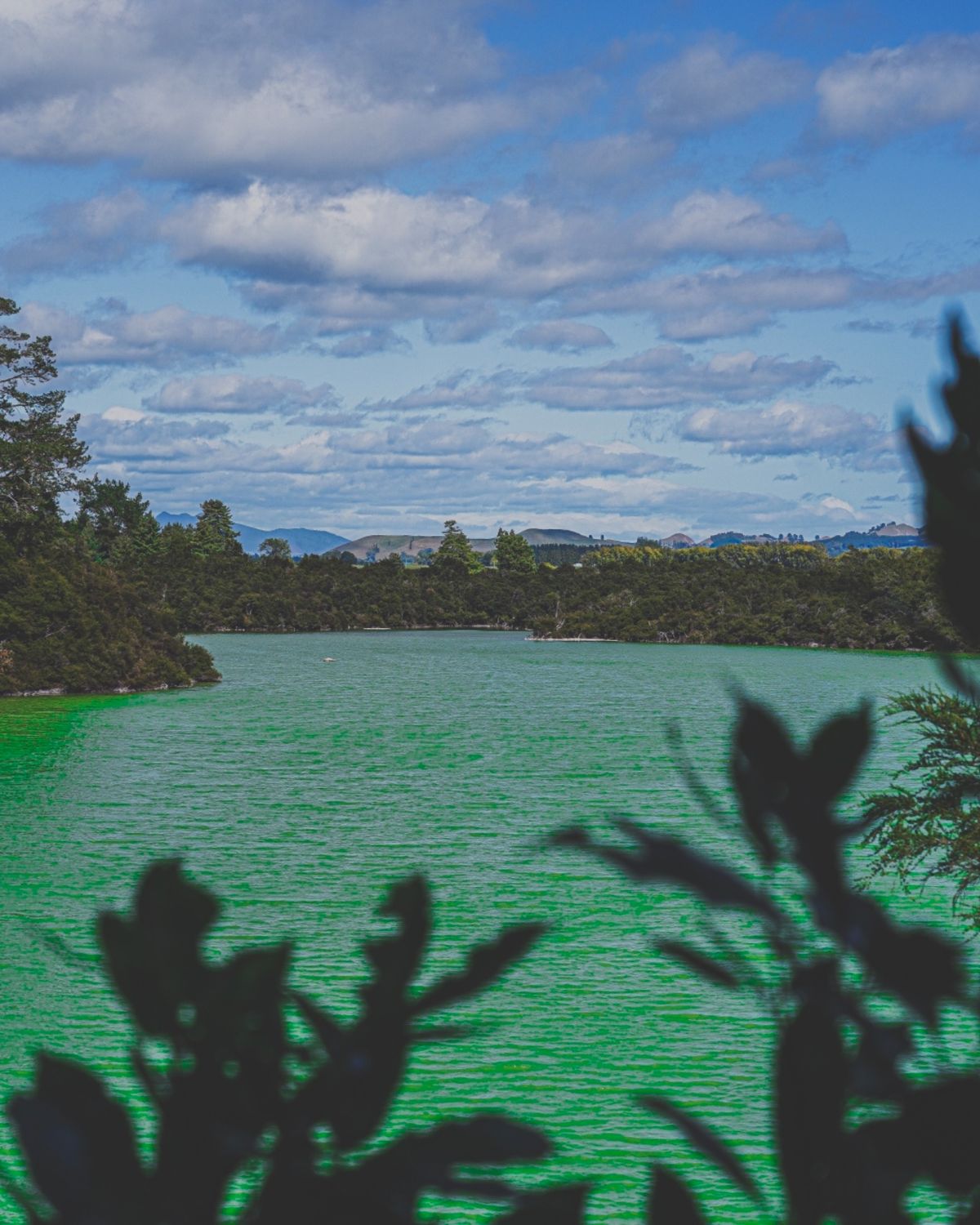 ‪ワイオタプはこのシャンパンプールとデビルズバスが目玉だった。

他にも沢...