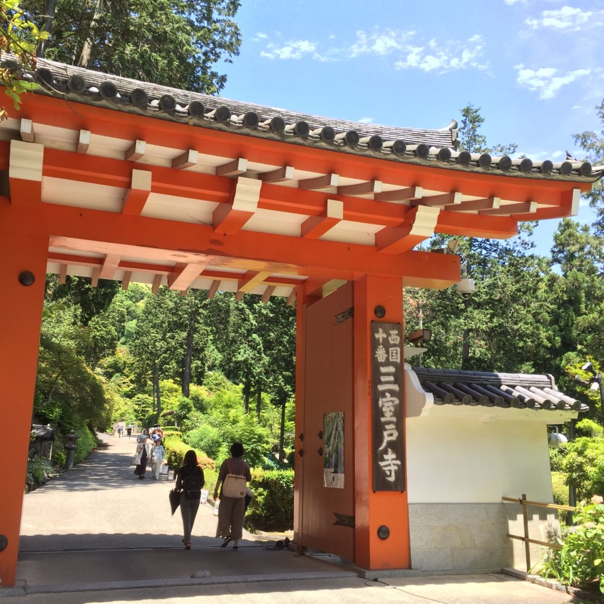 この年は宇治三室戸寺に紫陽花を見に行きました。ピークにはまだちょっと早かっ...