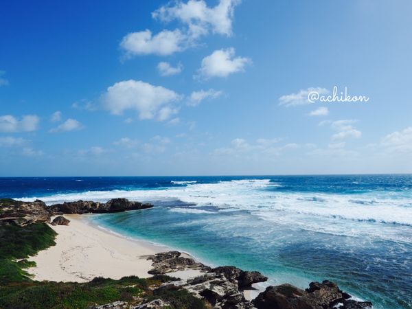 オーストラリア連邦・パース「クオッカワラビーに会いに」の写真：ロットネスト島は外周22キロ。レンタサイ...