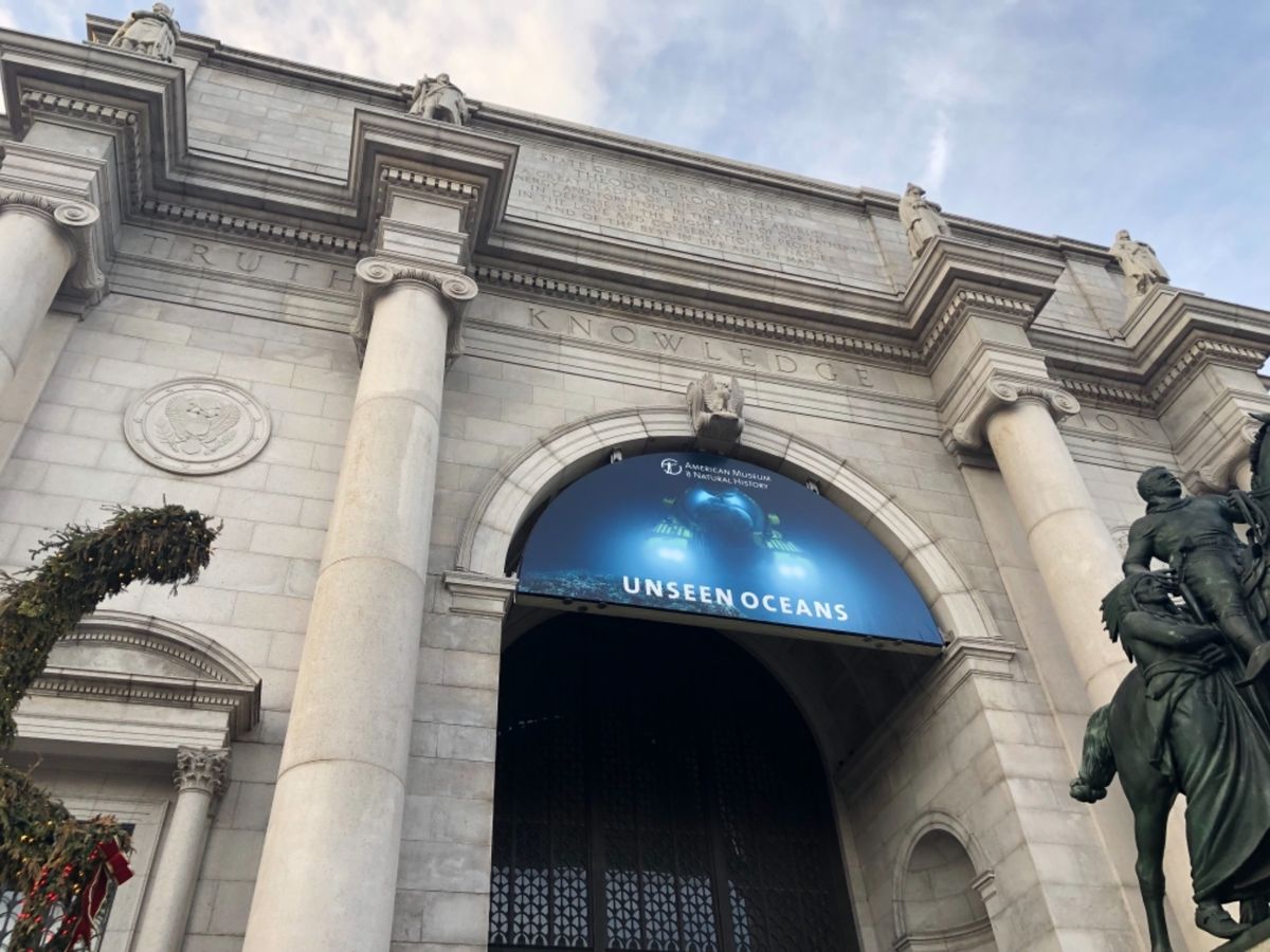 自然史博物館はナイトミュージアムの世界観。自由の女神クルーズは、アジア人の...