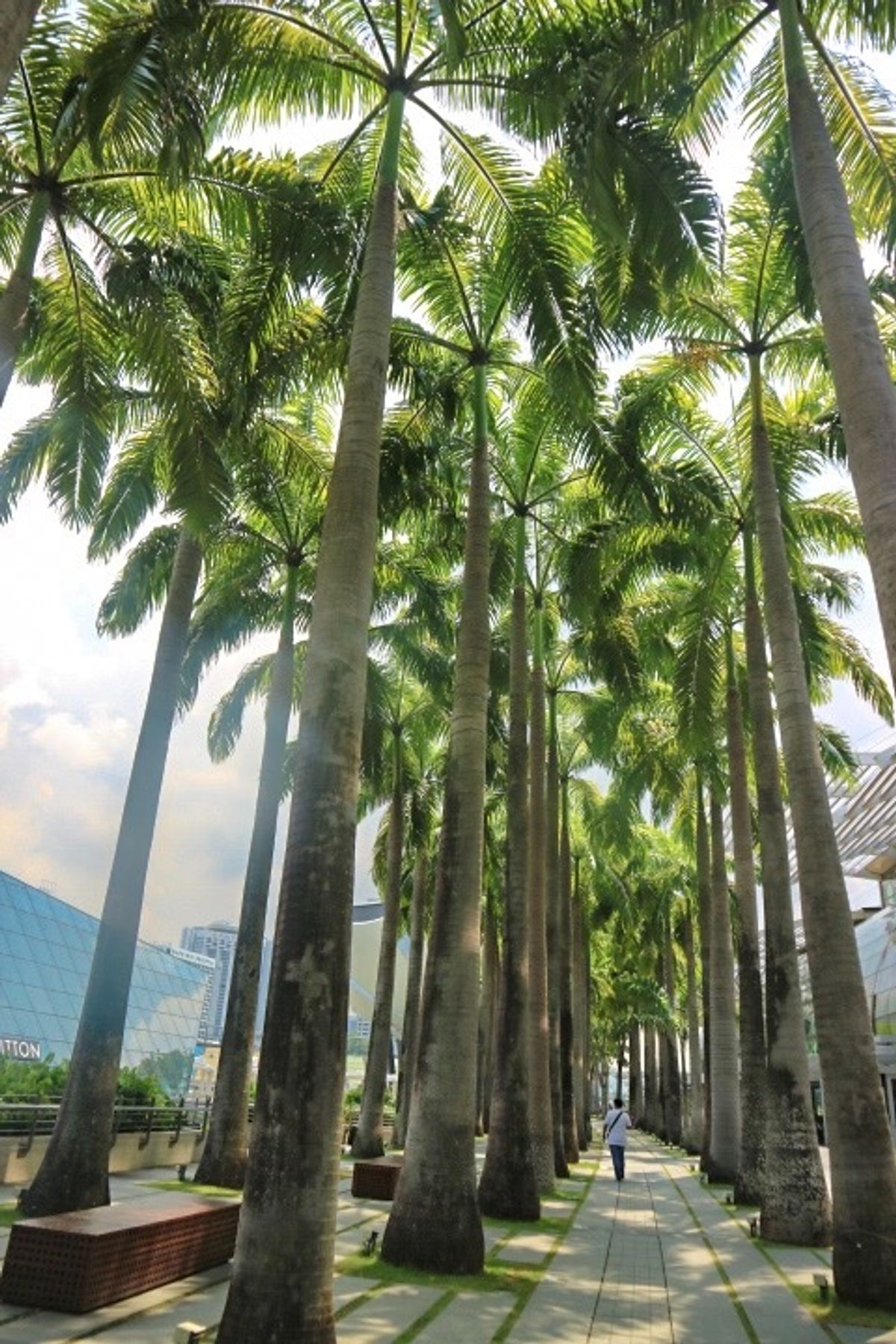マリーナベイサンズすごい迫力！ホテルはカトン地区でした🙆‍♀️