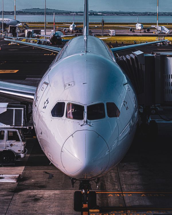 ニュージーランド・ワイトモ「ニュージーランド レンタカーで行き当たりばったりの旅」の写真：ピロンギアで買ったマヌカハニーが・・・
...