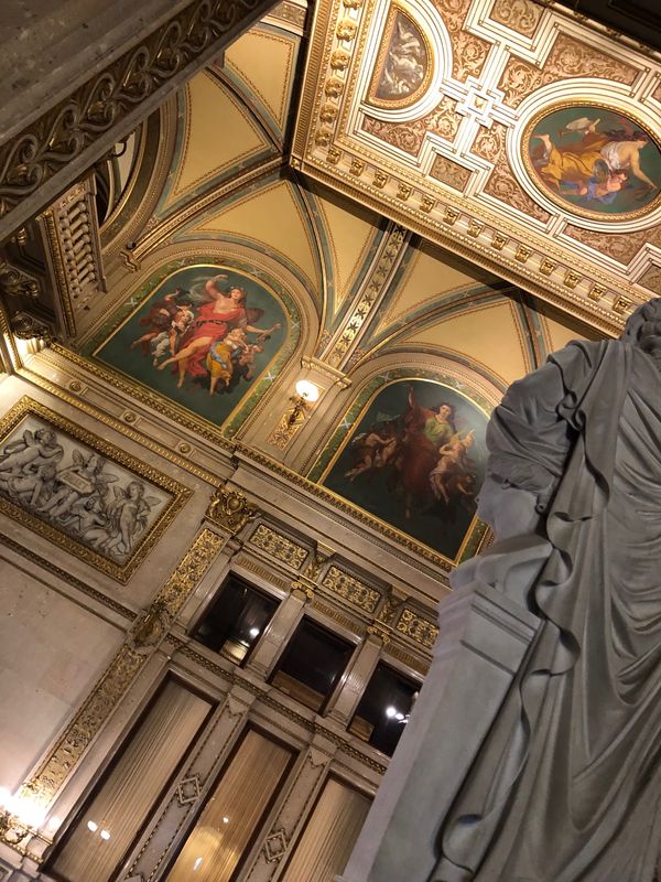 オーストリア・ウィーン「ヨーロッパ周遊」の写真：たまたまオペラ座の日本語ツアーがやってい...