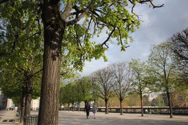 フランス・パリ「PARIS🇫🇷初1人旅」の写真