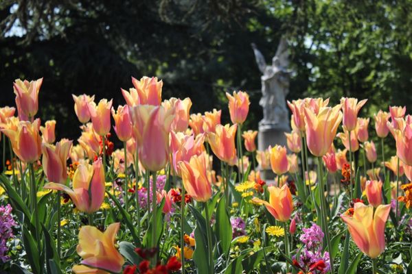 フランス・パリ「PARIS🇫🇷初1人旅」の写真