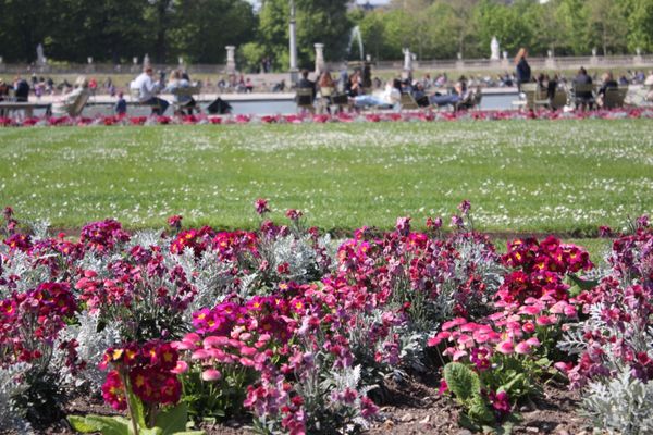 フランス・パリ「PARIS🇫🇷初1人旅」の写真
