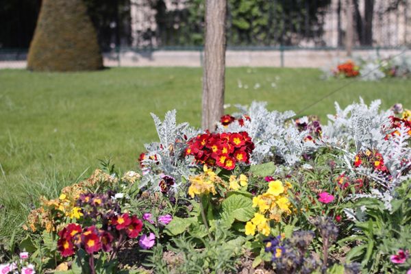 フランス・パリ「PARIS🇫🇷初1人旅」の写真