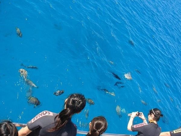 オーストラリア連邦・ケアンズ「ケアンズ家族旅行」の写真