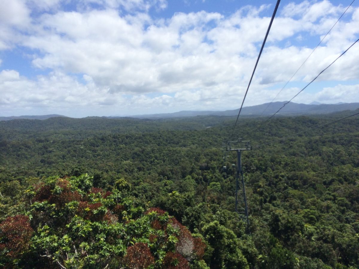 @Cairns

ある移民の夢が詰まったラピュタのモデル？　Paron...