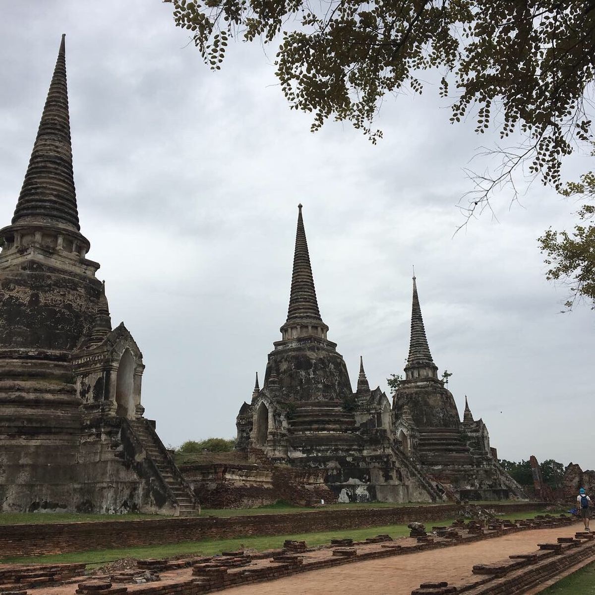 6日間のタイ旅行🇹🇭
タイはこれで3回目
何度行っても楽しい！美味しい！
...