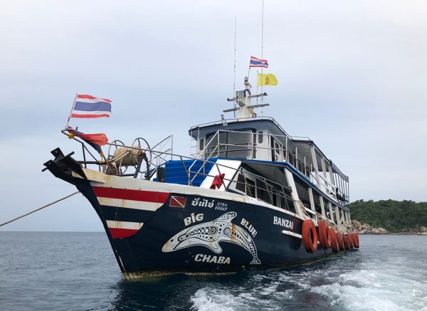 タイ・バンコク「タオ島旅行🇹🇭」の写真