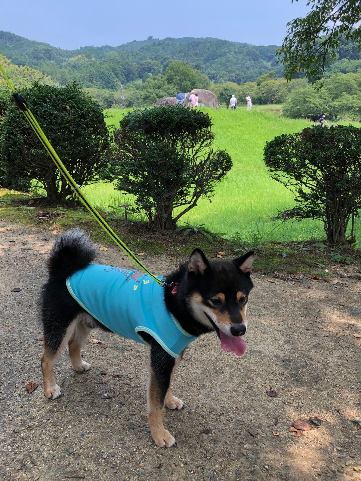 飛鳥寺と石舞台古墳