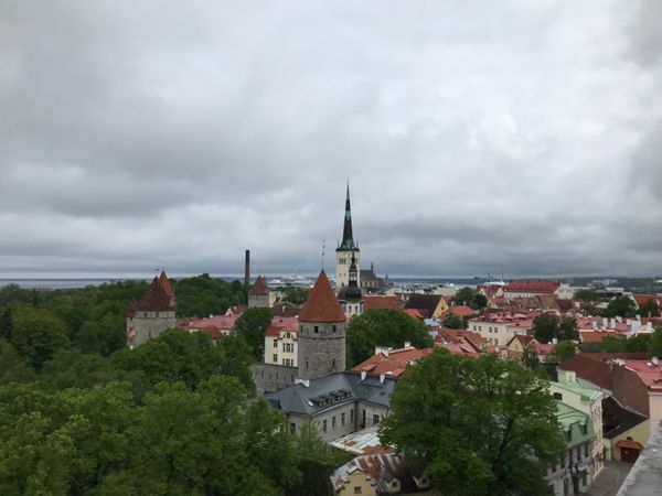 エストニア・タリン「バルト3国」の写真