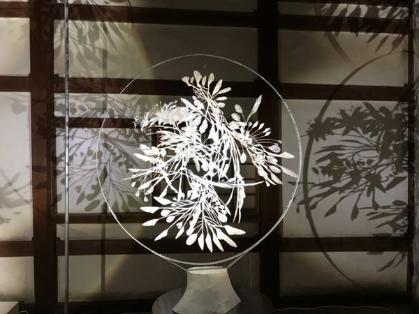 日本・姫路城「姫路🏯一人旅」の写真