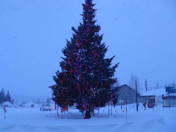 日本・北海道「北海道vol.4⛄️一人旅」の写真