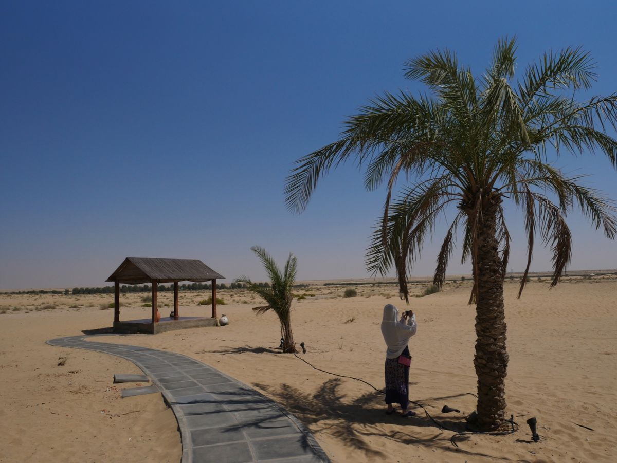 Bab Al Shams Desert Resort＆Spa
アルアイン近...