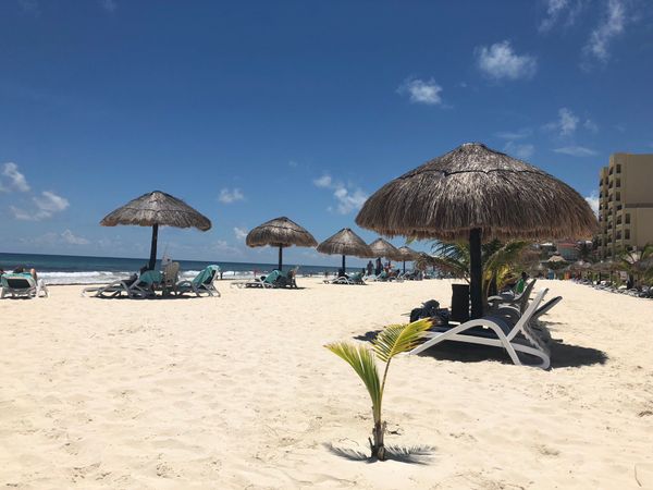 メキシコ・カンクン「カンクン」の写真：The Royal Sands &amp; Sp...