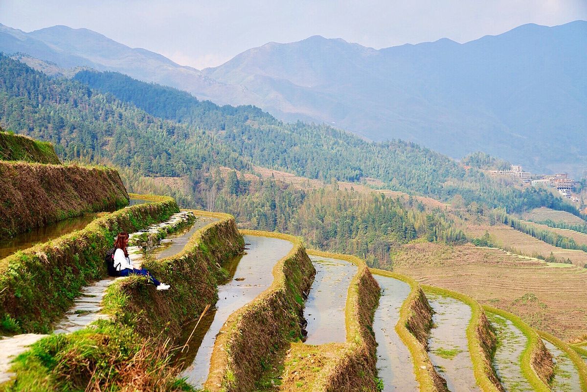 龍勝棚田〜
ここで泊まったホテル
Green forest lodge...