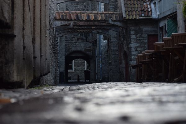 エストニア・タリン「バルト三国 気球とバレー観賞」の写真