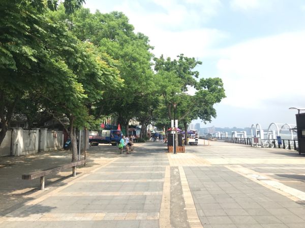 台湾・台北「台湾」の写真