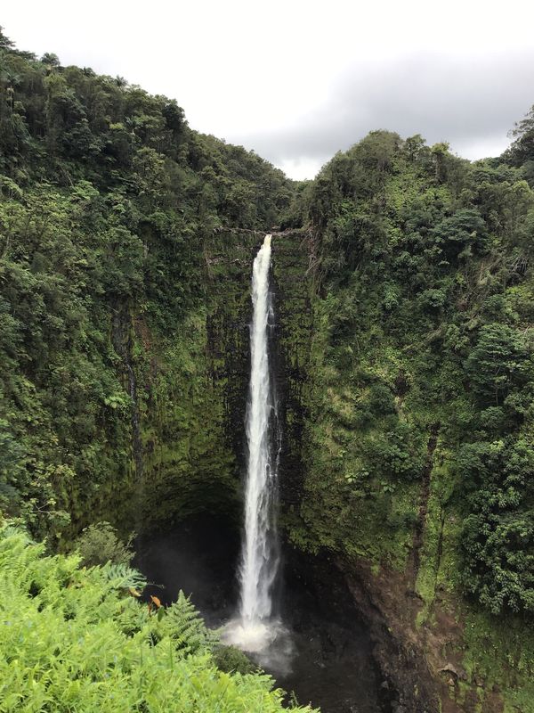 アメリカ(米国)・ハワイ島「ハワイ島」の写真