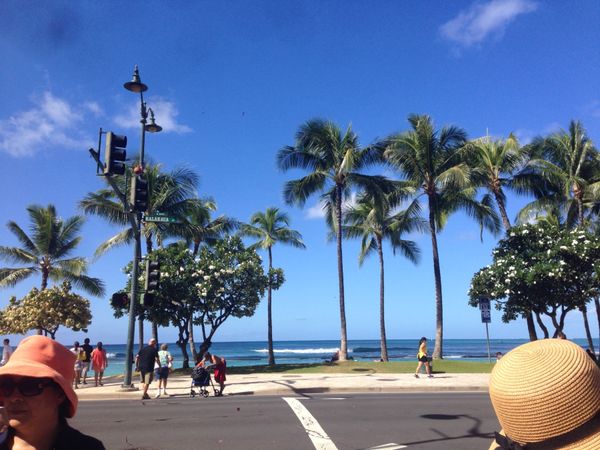 アメリカ(米国)・ハワイ「ハワイ」の写真