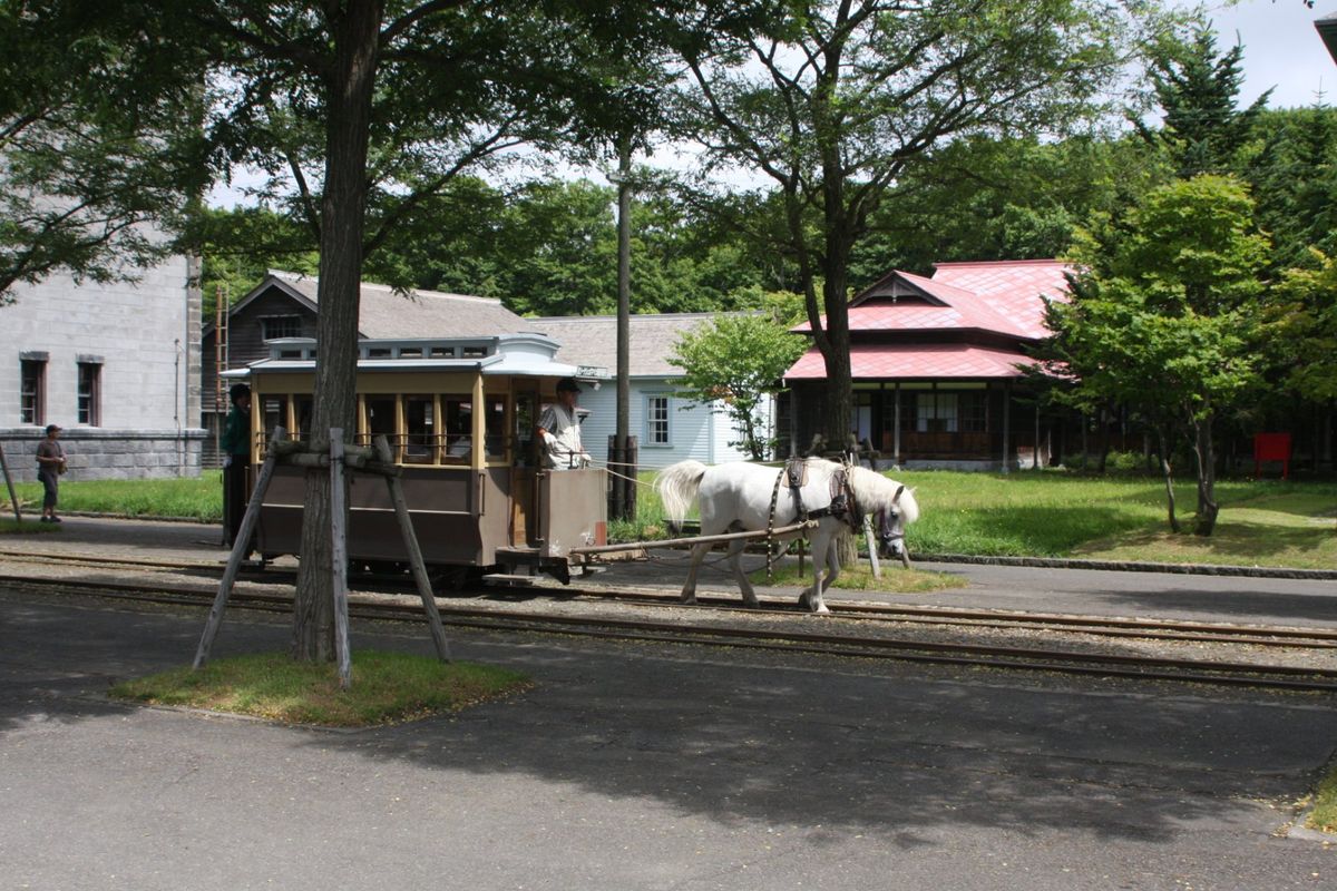 富良野のお花畑は綺麗だった。