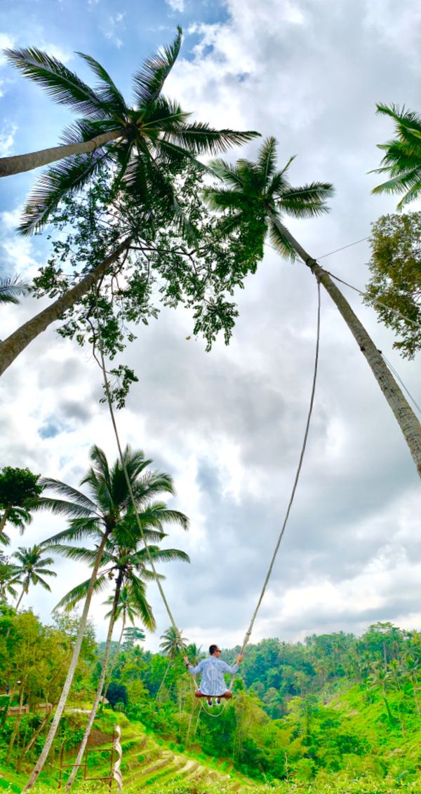 インドネシア・バリ島「バリ島」の写真：アロハウブドでブランコ