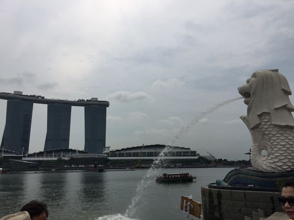 シンガポール・シンガポール「シンガポール」の写真：年越し花火。マリーナベイサンズの前で怒涛...