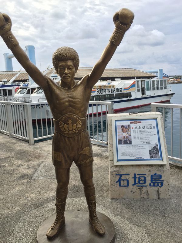 日本・石垣島〜西表島「西表島」の写真：マングローブを見に西表島へ