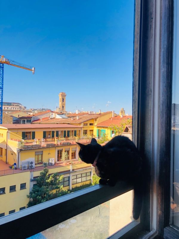 イタリア「イタリア」の写真