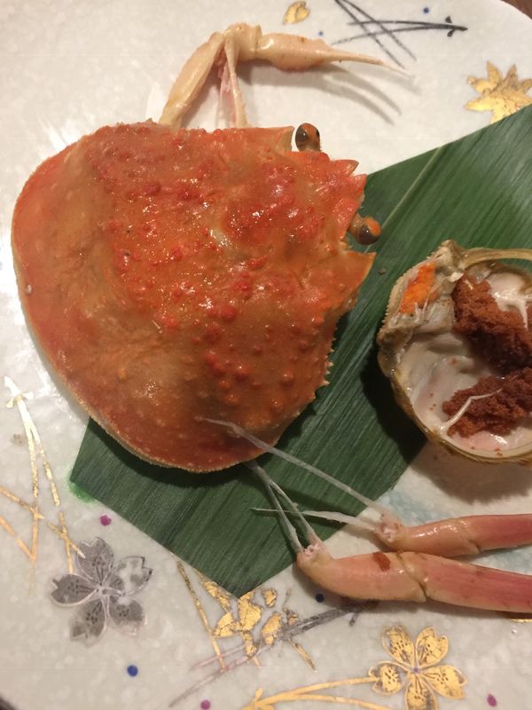 日本・鳥取砂丘「鳥取出張」の写真：鳥取砂丘とカニ！