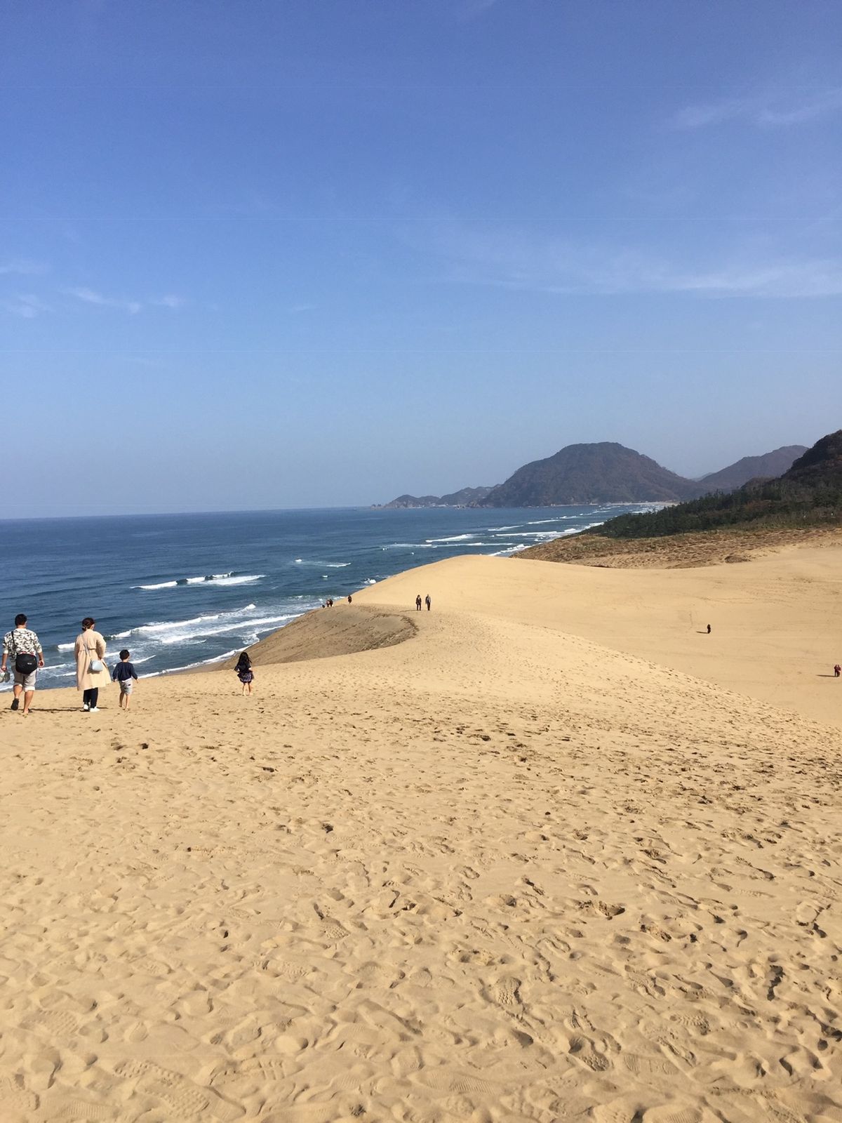 鳥取砂丘とカニ！