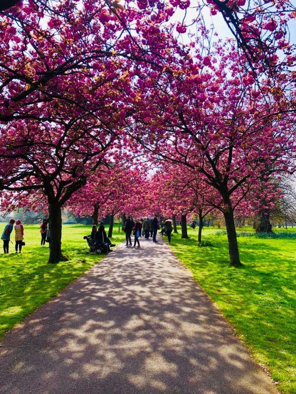 イギリス(英国)「イギリス」の写真