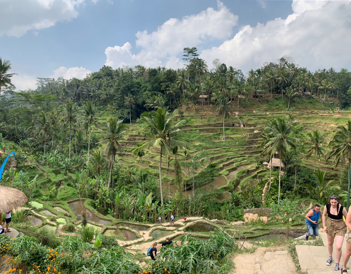 バリ島は素敵です。
夏は乾季で過ごしやすい！
