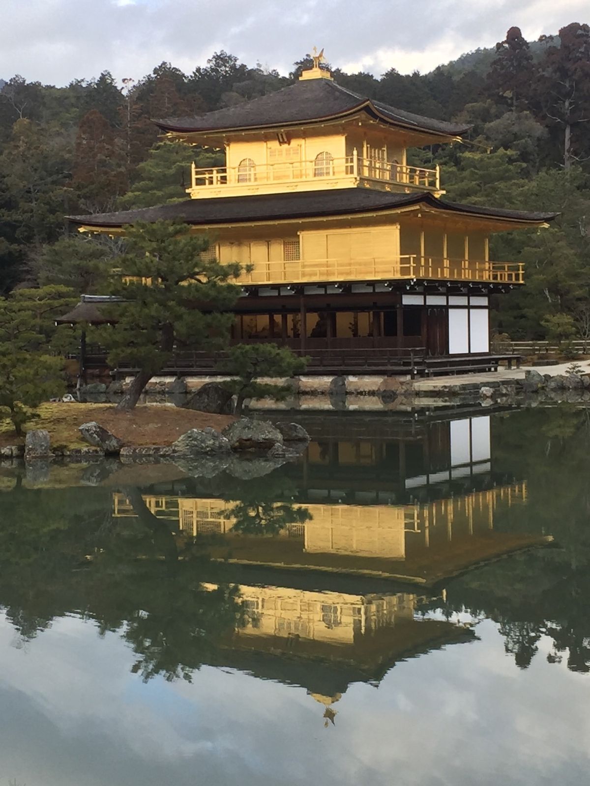 修学旅行でも行かなかった金閣寺。初めてきましたが綺麗ですね。