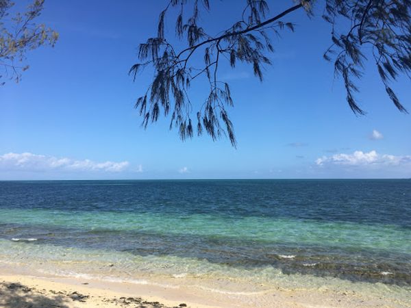 オーストラリア連邦・ケアンズ「ケアンズ旅行」の写真：グレートバリアリーフ