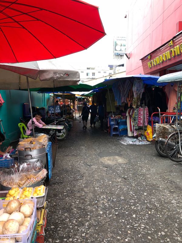 タイ・チェンマイ「チェンマイの旅」の写真