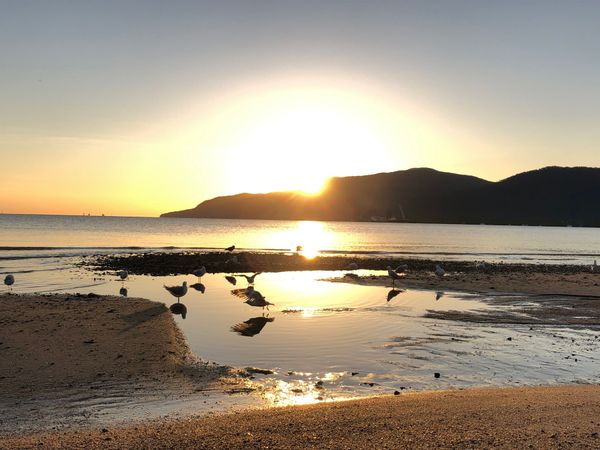 オーストリア・ケアンズ「ケアンズ」の写真：✨ケアンズ ひとり旅✨
心に残るシーンの...