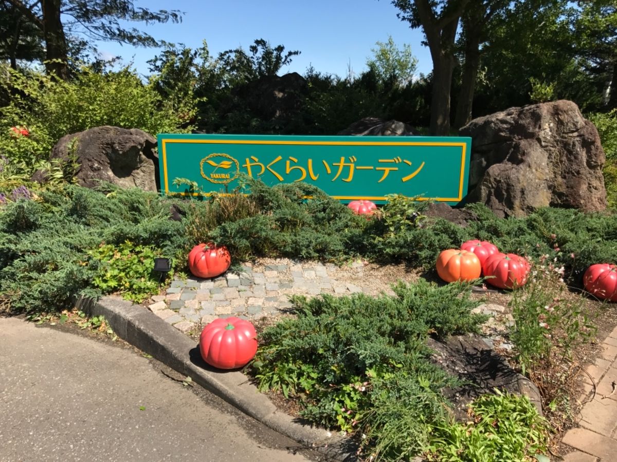 やくらいガーデン🌼
偶然立ち寄ったけど、なかなか素敵でした😊