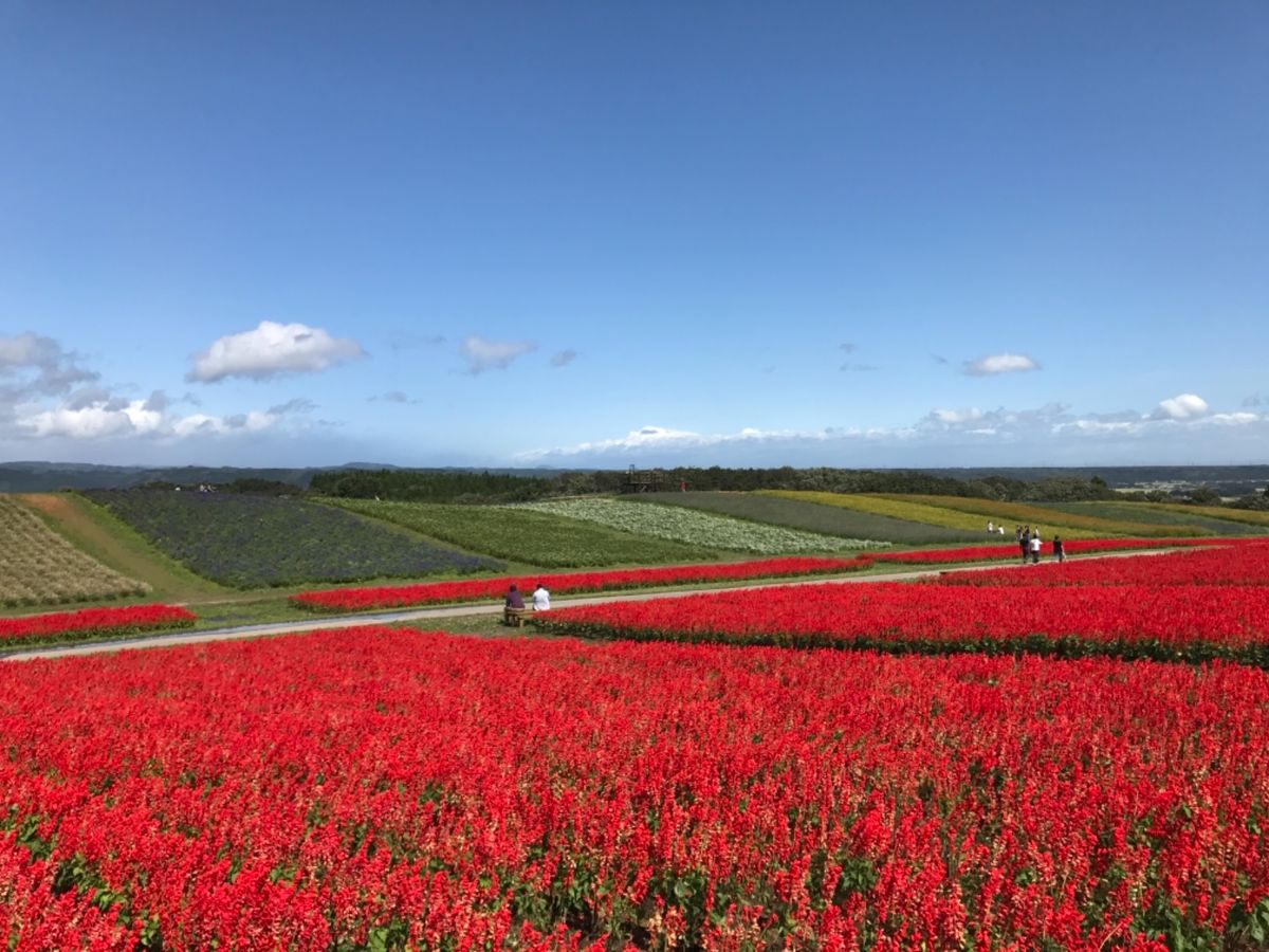 やくらいガーデン🌼
偶然立ち寄ったけど、なかなか素敵でした😊