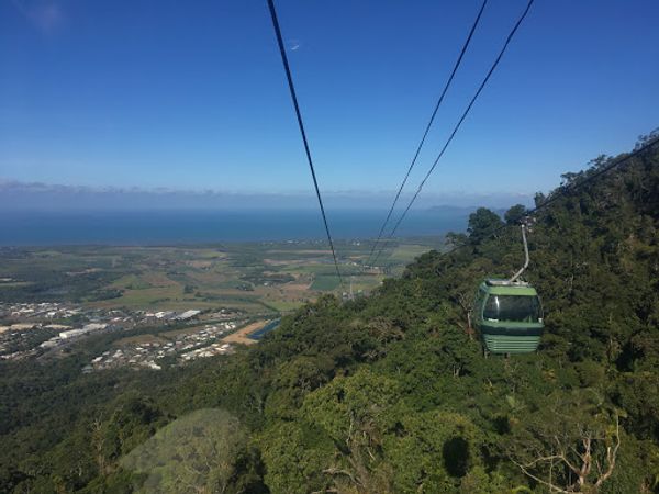オーストラリア連邦・ケアンズ「ケアンズ旅行」の写真：キュランダ鉄道と動物園！
