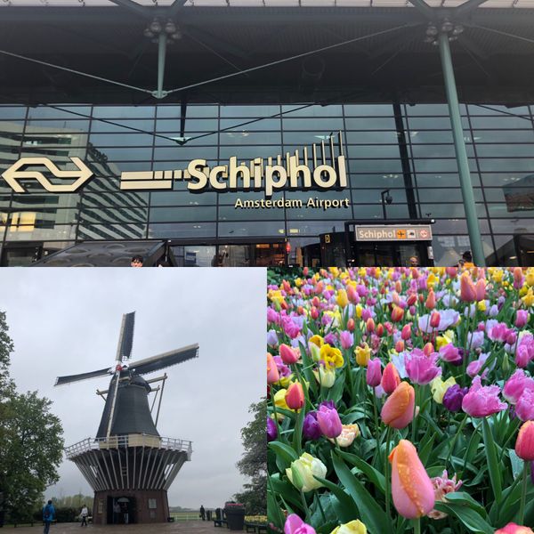 オランダ「ヨーロッパ」の写真